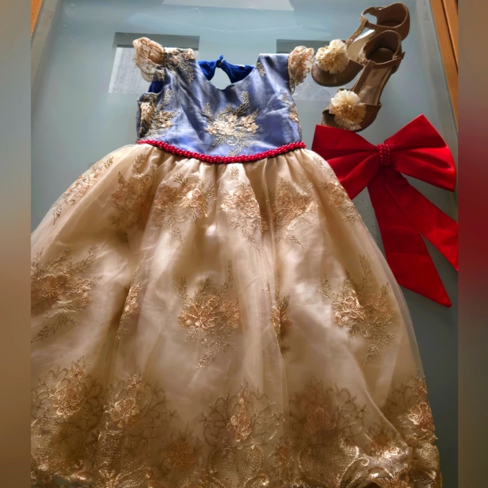 Fancy Blue and Gold Dress/Snow White Gown